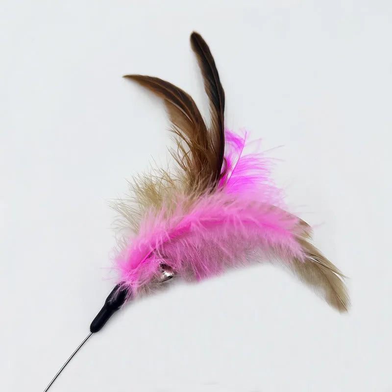 Blue collar cat teaser toy with feather and bell attachment on adjustable strap