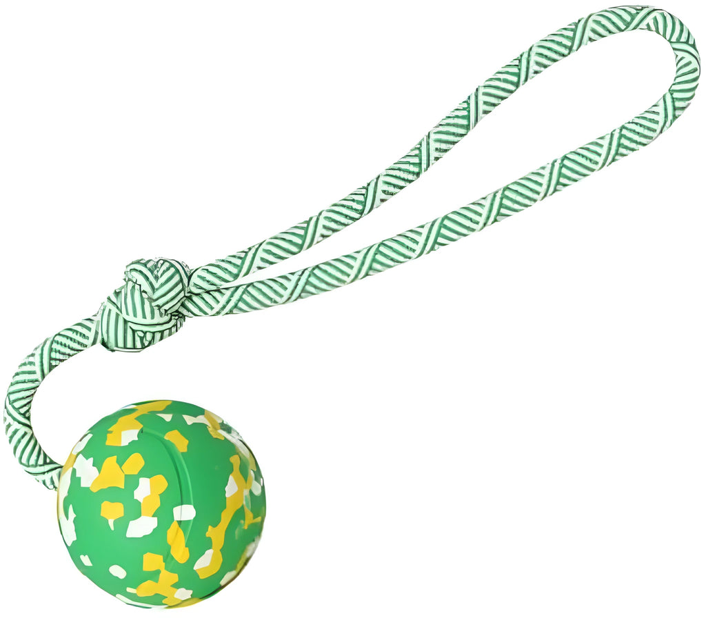 Dog rope ball toy with a solid rubber ball and nylon rope for fetch and tug games