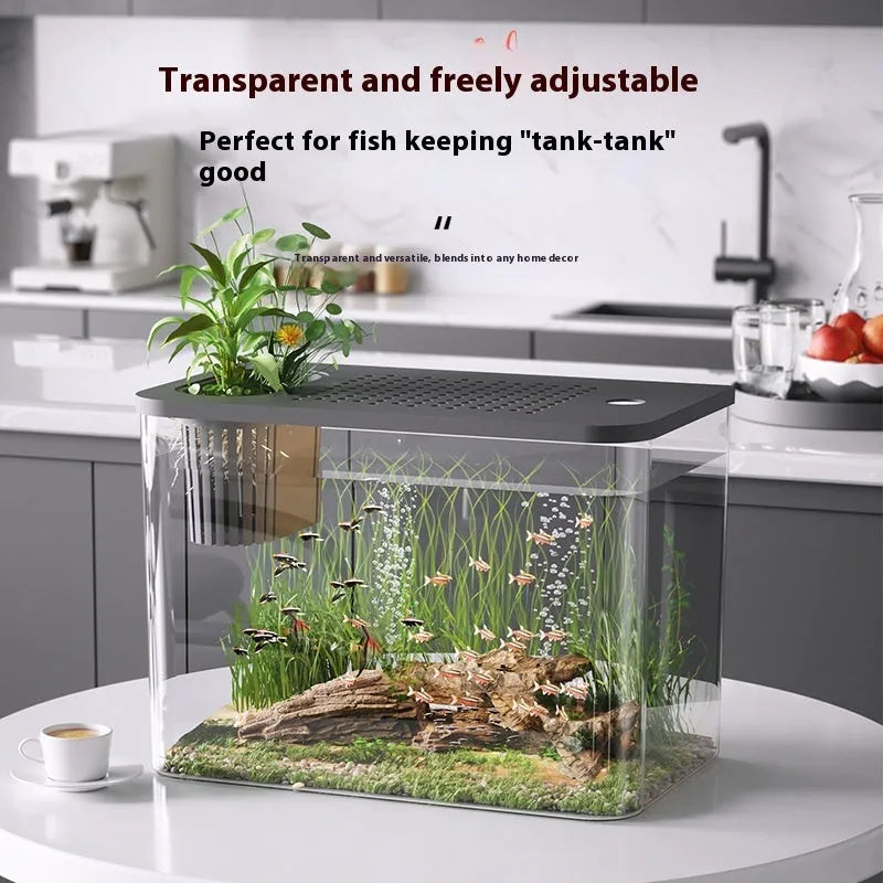 Medium ecological betta tank with cover in black or white colour options