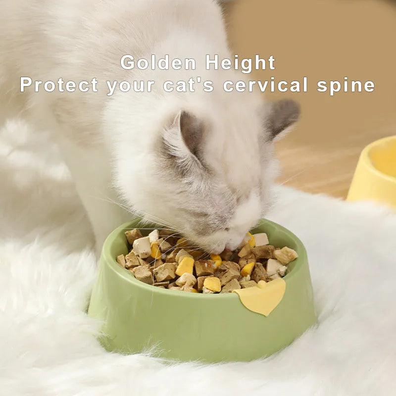 Green and yellow plastic double pet bowl for food and water on a flat surface.