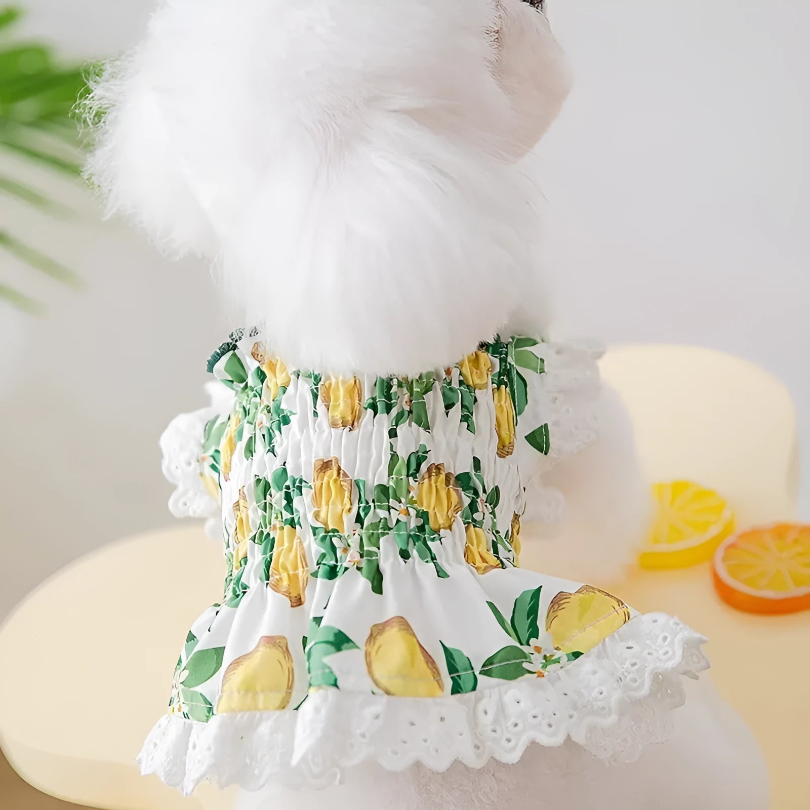 Rock yellow lemon dog strap skirt with princess style polyester fabric on small dog