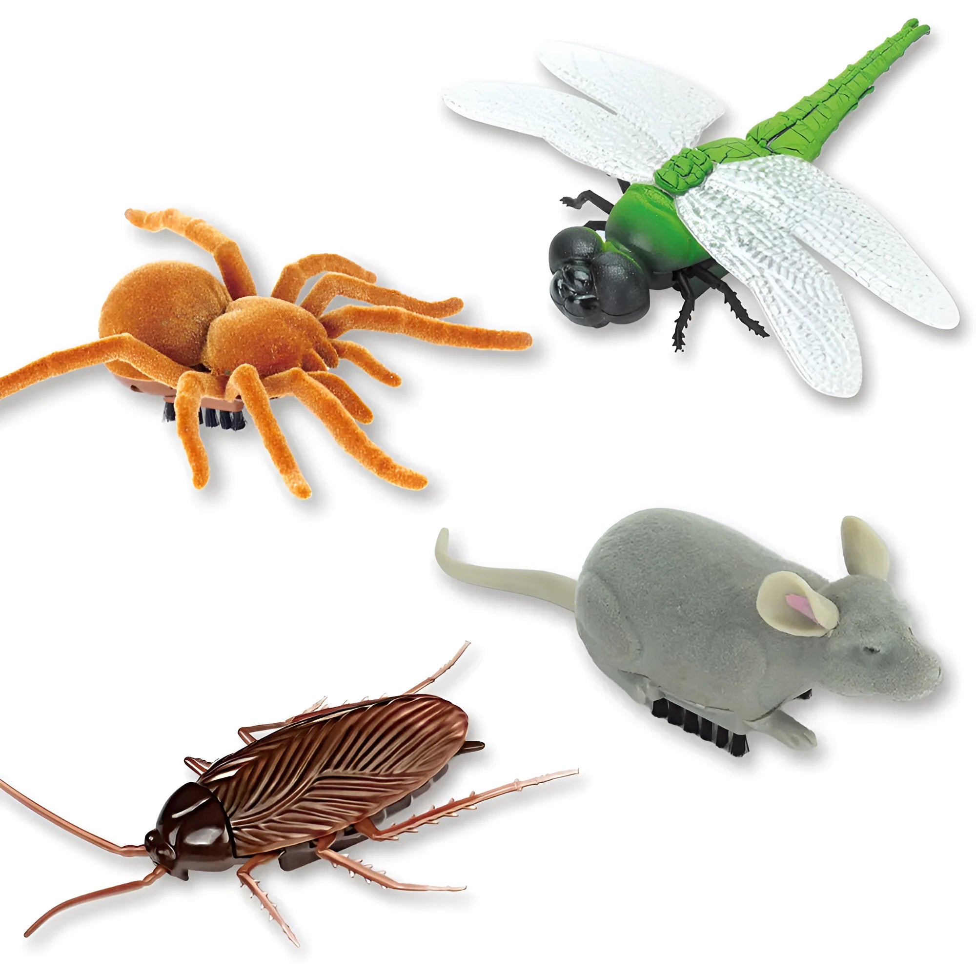Vibration brush walking trick simulation electric toy pet supplies, plastic, 11x5cm, with vibrating cockroach design