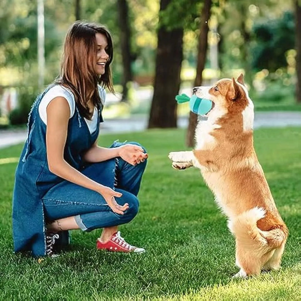 Blue durable rubber treat dispensing dog toy ball for medium large dogs