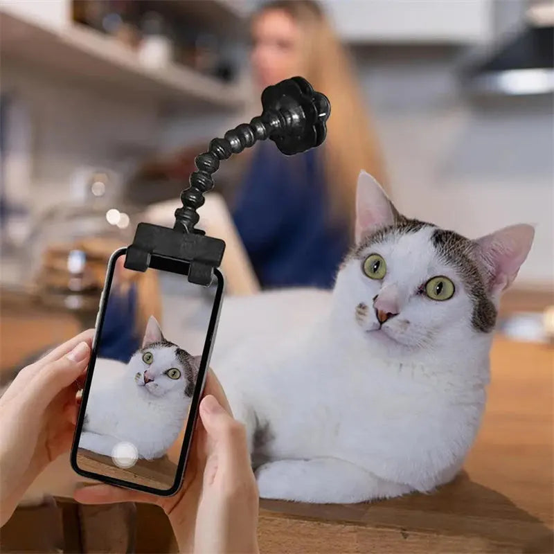 Black pet photography clip with treat holder and phone mount on white background