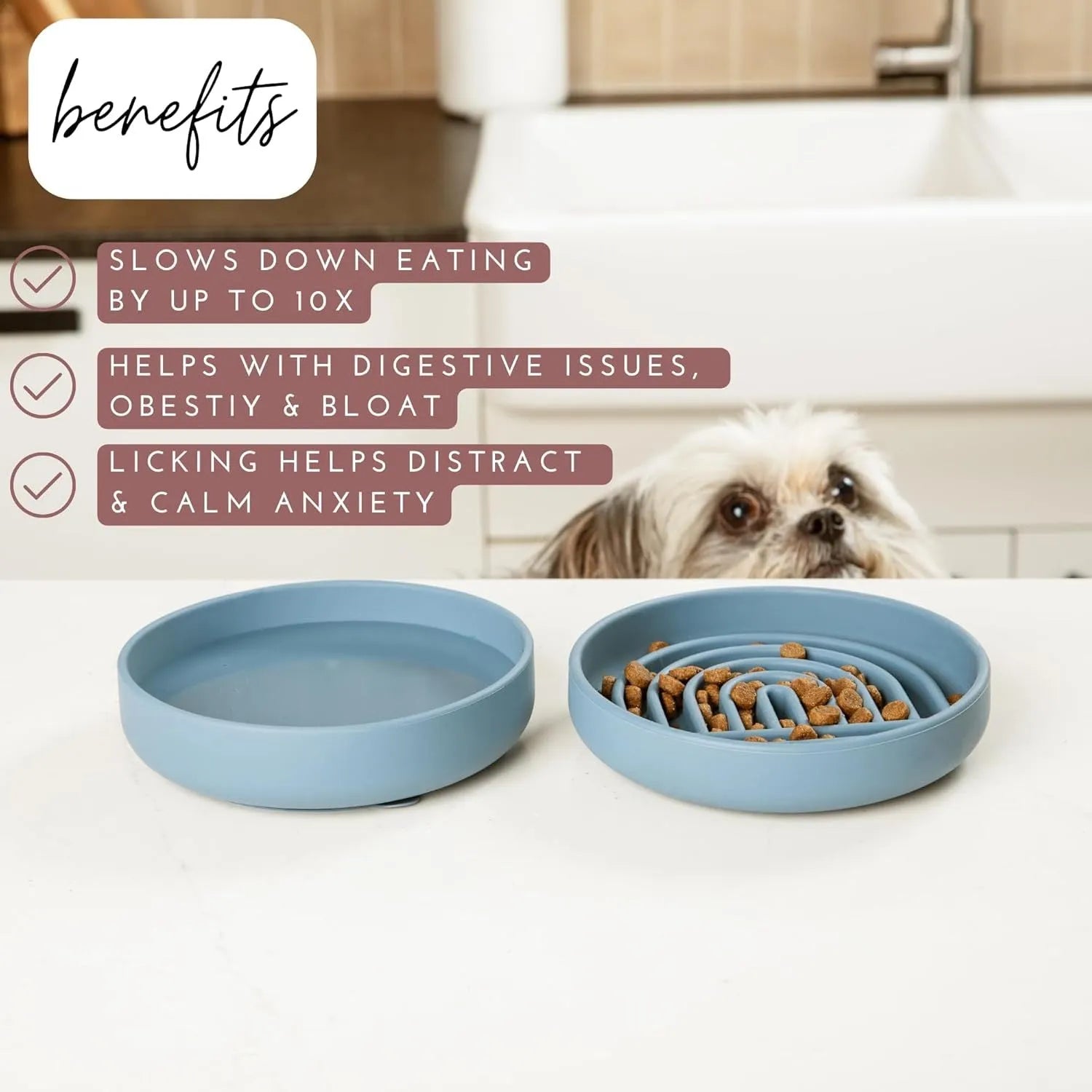 Silicone slow feeder dog bowl with ridges in assorted colours