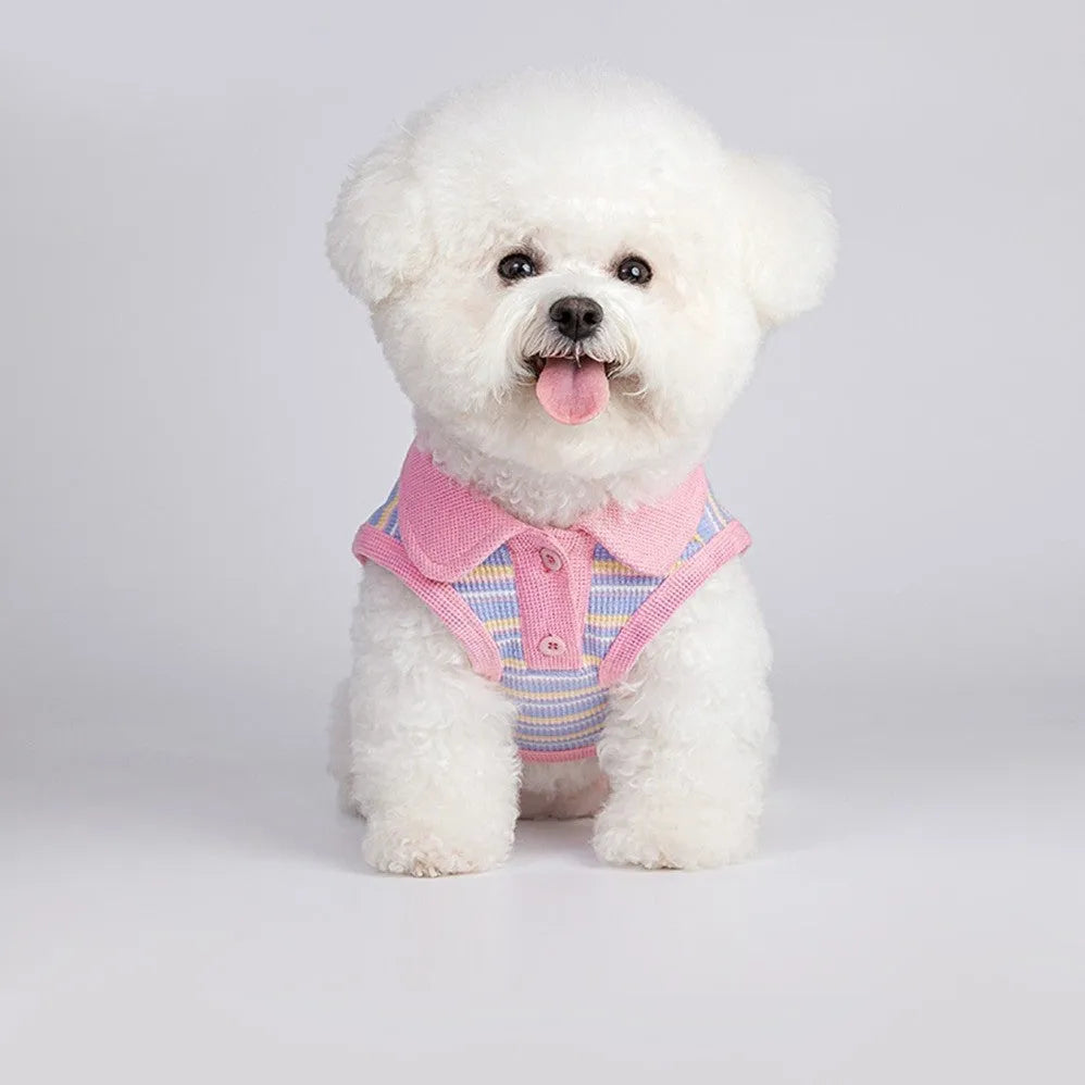 Pink purple vest for a small dog or cat on a mannequin, showing a basic autumn pet clothing design.