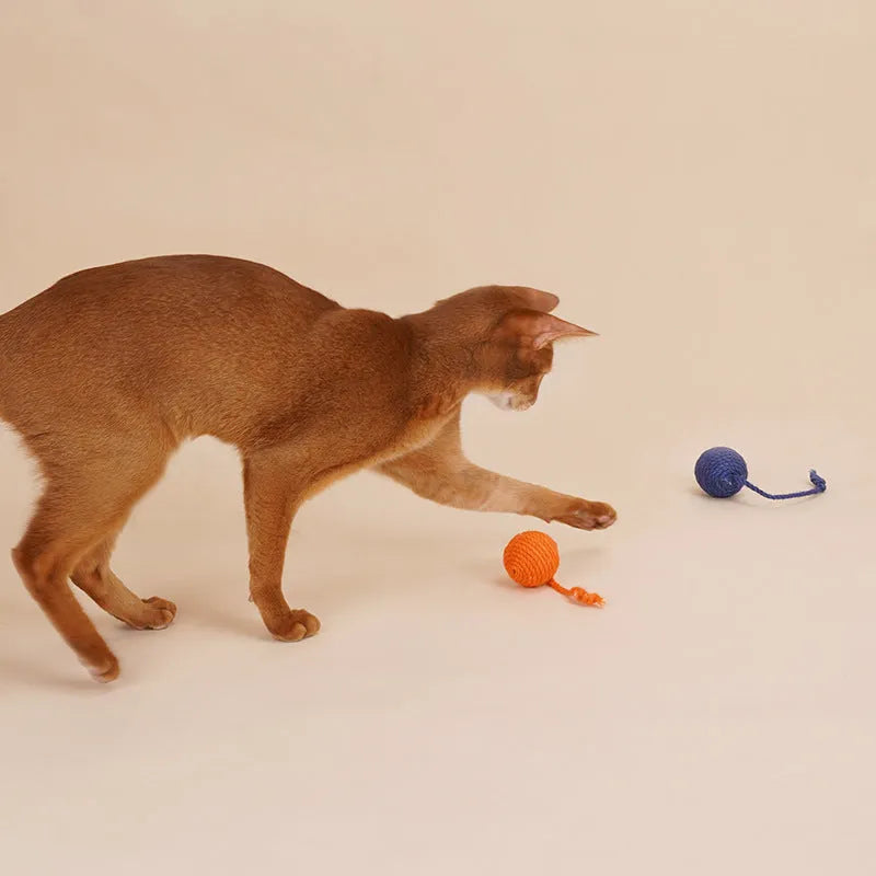 Multi-colour cat toy set with bite-resistant catnip ball and aluminium rod teaser stick