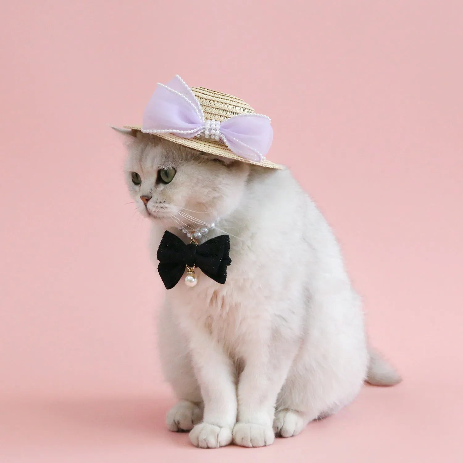 Woven Lafite leaves cat hat with pearl butterfly bow in pink blue purple or white