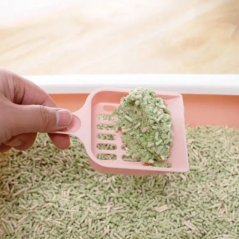 Plastic cat litter scoop in blue colour showing 20cm length for litter box cleaning