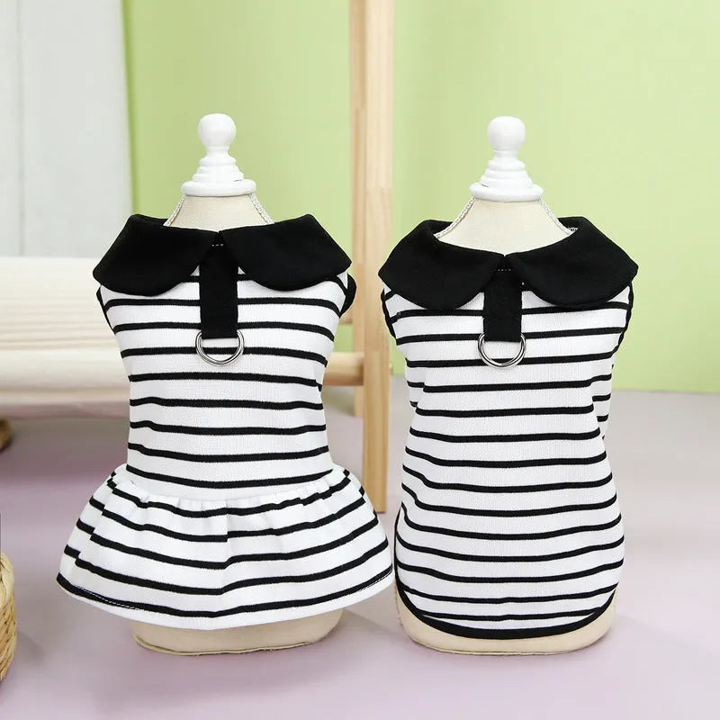 Dog wearing cotton summer stripe T-shirt and skirt outfit in 24 love couple's tops colour