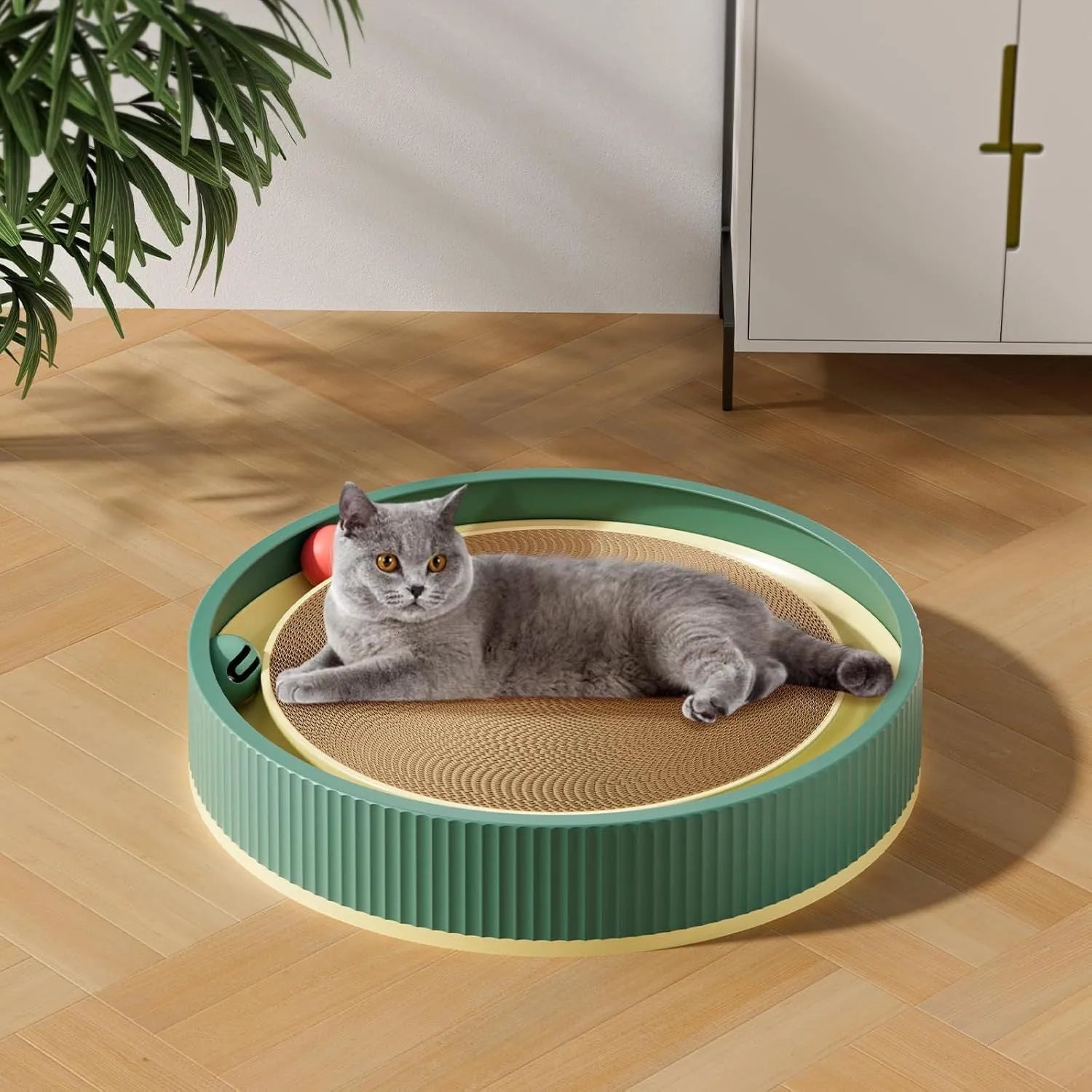Large circular cat scratching board with integrated ball toys on green background
