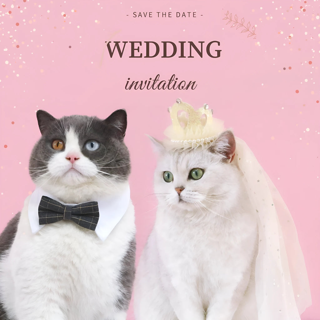 Pet cat wearing a princess crown headdress with a choice of beige or pink crown veil
