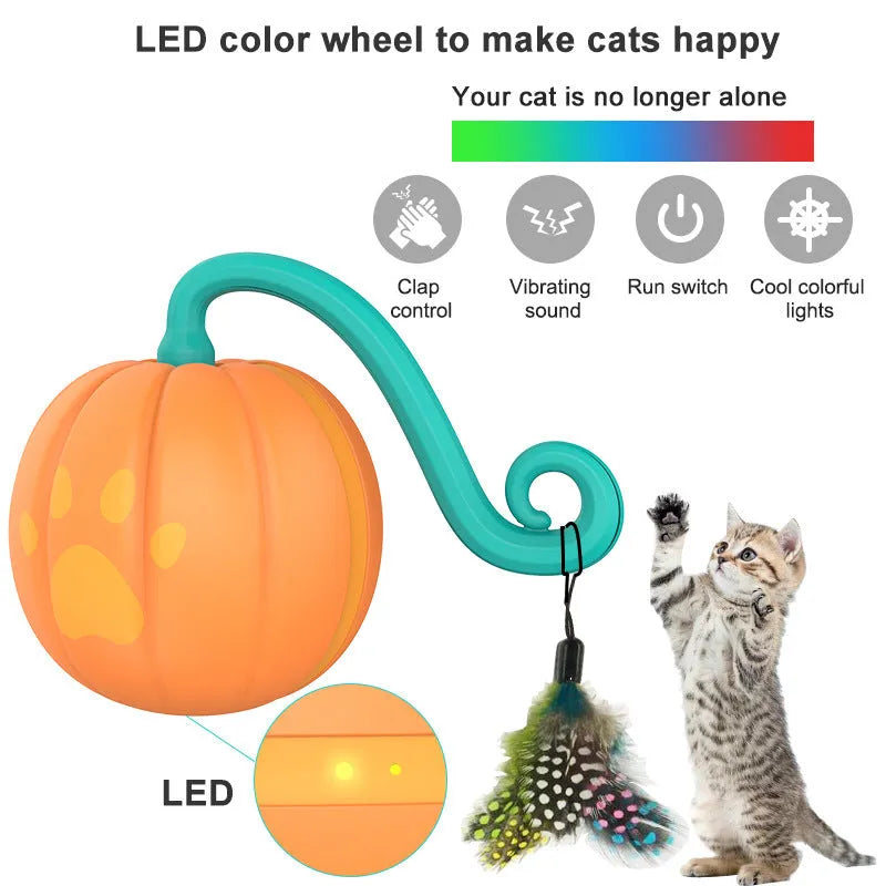 Electric cat toy luminous ball in plastic, available in watermelon and pumpkin colour options for interactive feline play