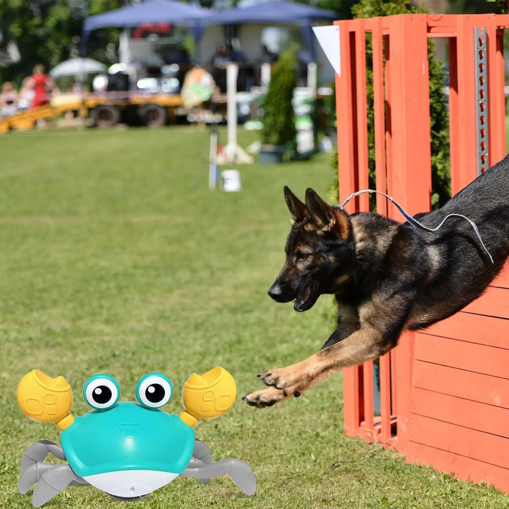Blue electronic crab dog toy with obstacle avoidance sensors crawling on floor