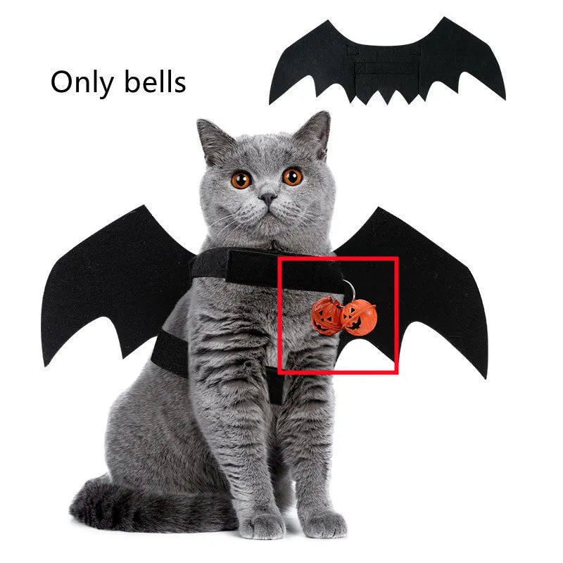 Black wings Halloween felt pet costume on a small cat with a bell accessory