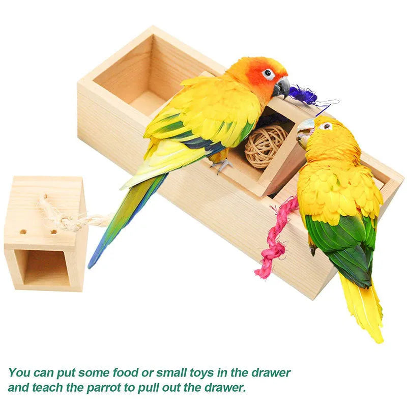 Wooden parrot toy puzzle training set with 3 pieces on a light background