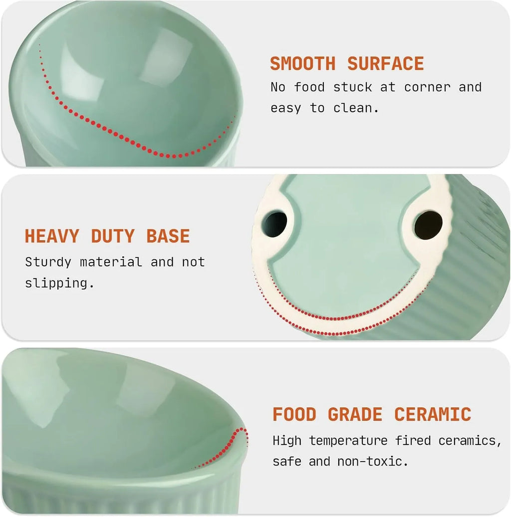 Ceramic elevated cat bowl in green colour with tilted whisker-friendly design for anti-vomit feeding height