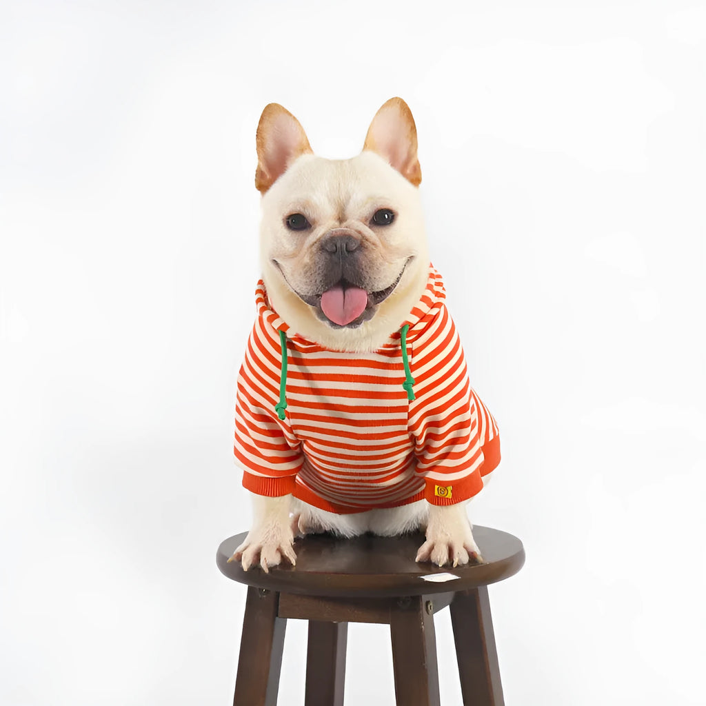 Orange cotton hooded dog sweater for small to extra large dogs Japanese Korean style