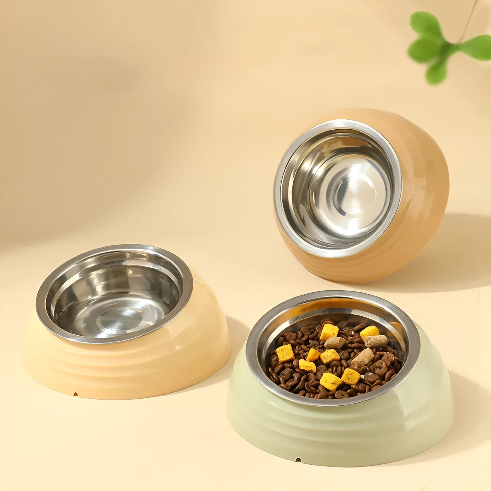Stainless steel cat bowl in plastic holder available in light green, beige, and brown colour options