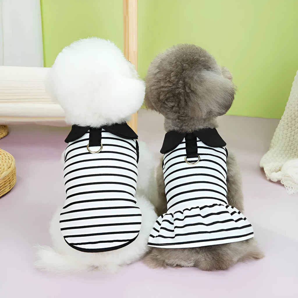 Dog wearing cotton summer stripe T-shirt and skirt outfit in 24 love couple's tops colour
