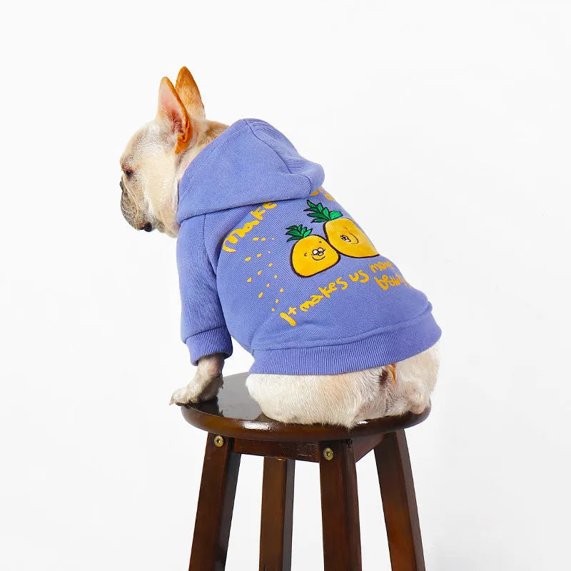 Winter cartoon printed plush pet hoodie in blue and purple made from cotton, shown on a pet