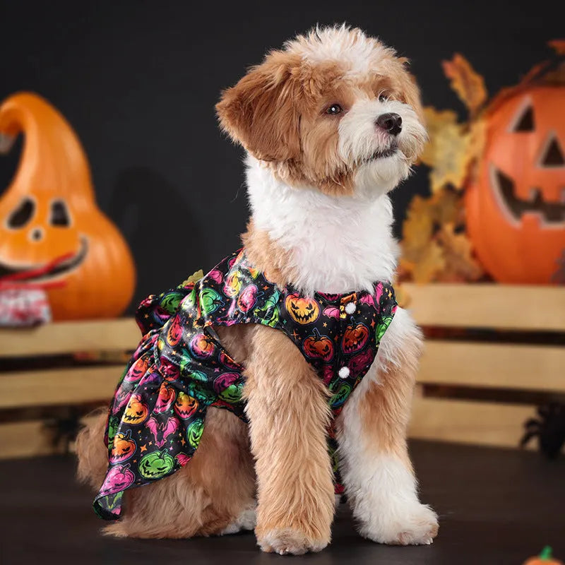 Angel wings Halloween costume for dogs in bright pumpkin orange with wing design