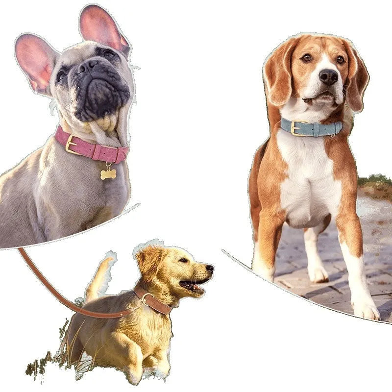 Double-layer leather dog collar and matching lead in rose red, brown, or blue colour on a size tag.
