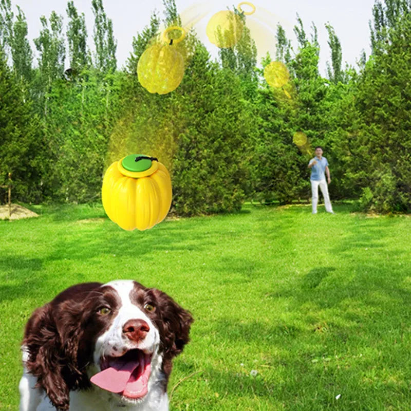 Pumpkin-shaped plastic dog chew toy with squeaker for small breed puppies