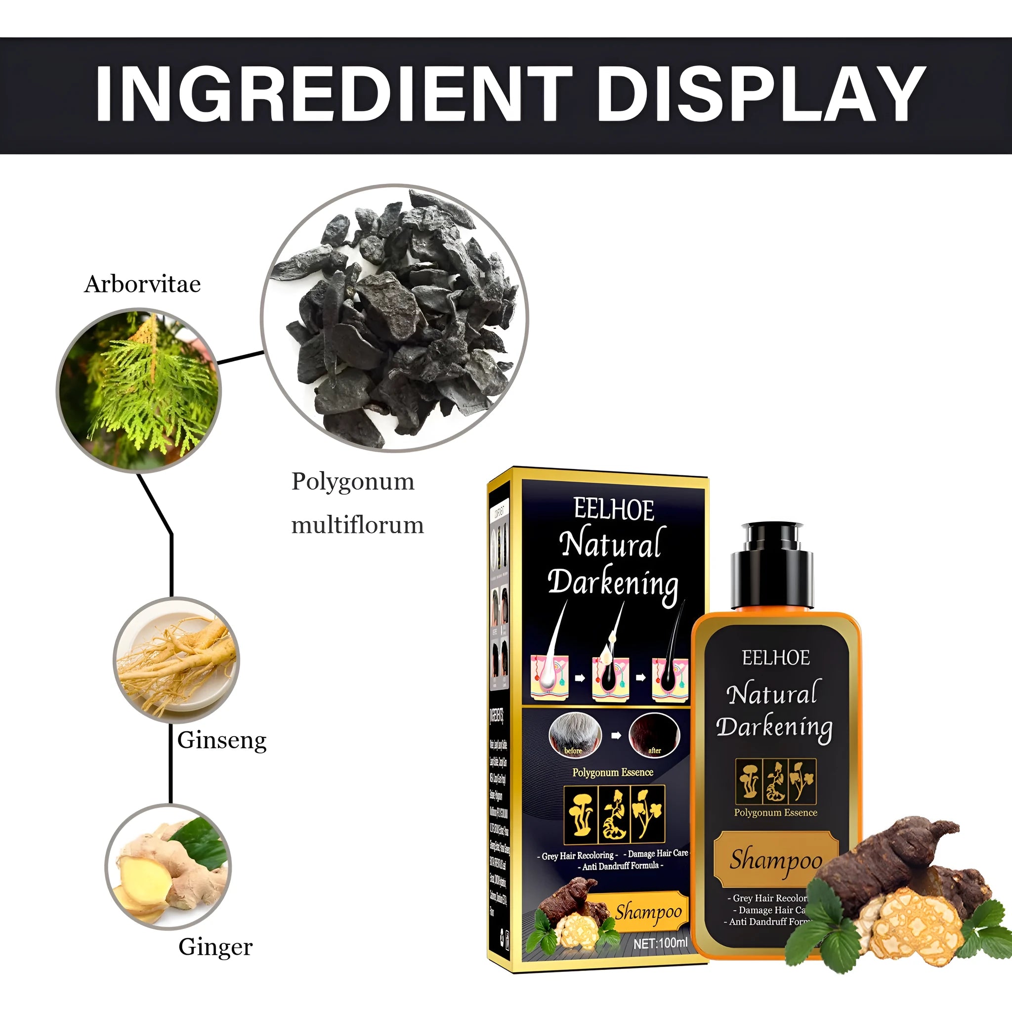 Polygonum Multiflorum Shampoo 100ml boxed for white to black hair colour restoration, anti-dandruff, and anti-hair fall