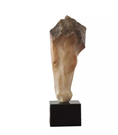 Abstract horse head sculpture ornament with carved surface, 50cm tall desktop decoration