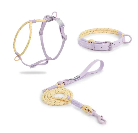 Solid colour PVC dog leash hand holding rope in crimson purple yellow or taoyao green for outdoor use
