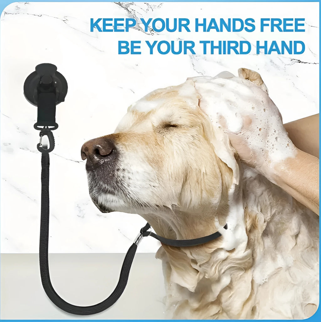 Pet bathing restraint kit showing four adjustable handcuffs with suction cup bases in black and blue colours