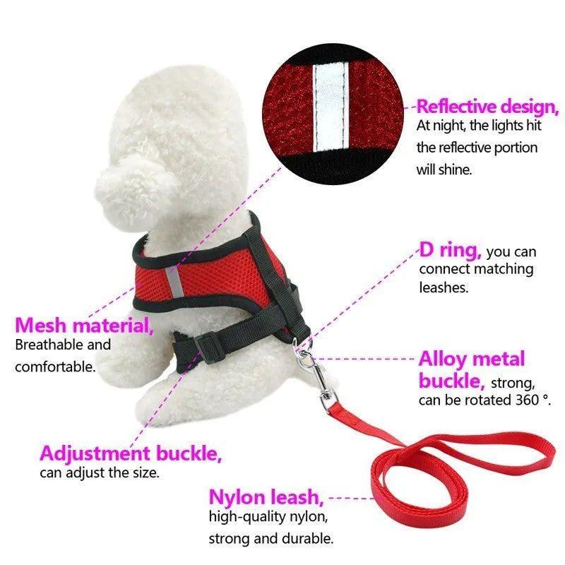 Pet car seat belt leash in black mesh with 1.2 metre rope and metal clip on white background