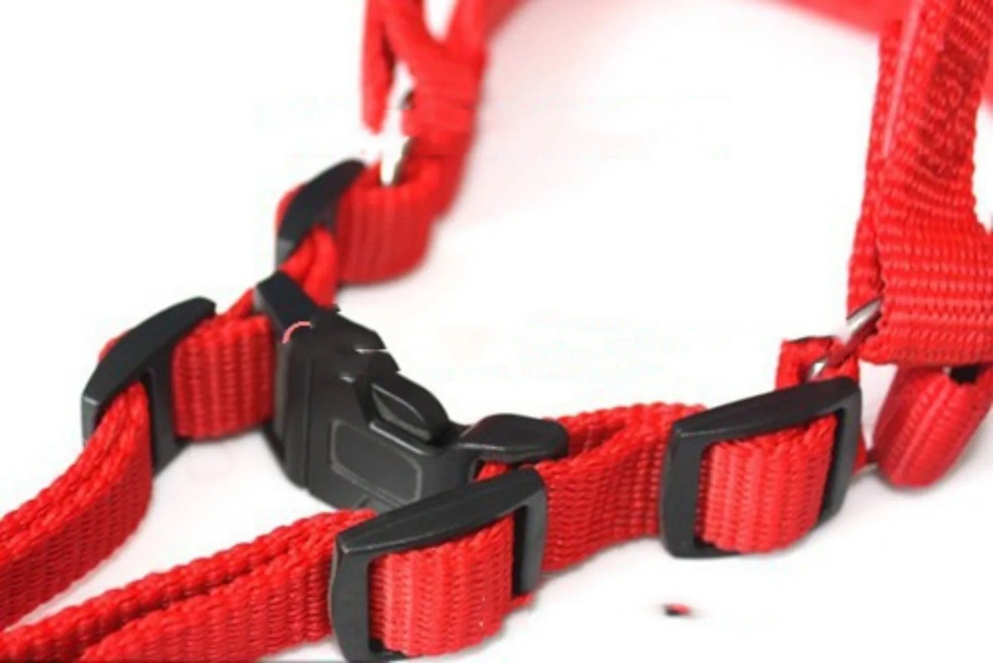 Soft lining polypropylene foam pet harness traction belt in black, blue, and red nylon with chest strap ring