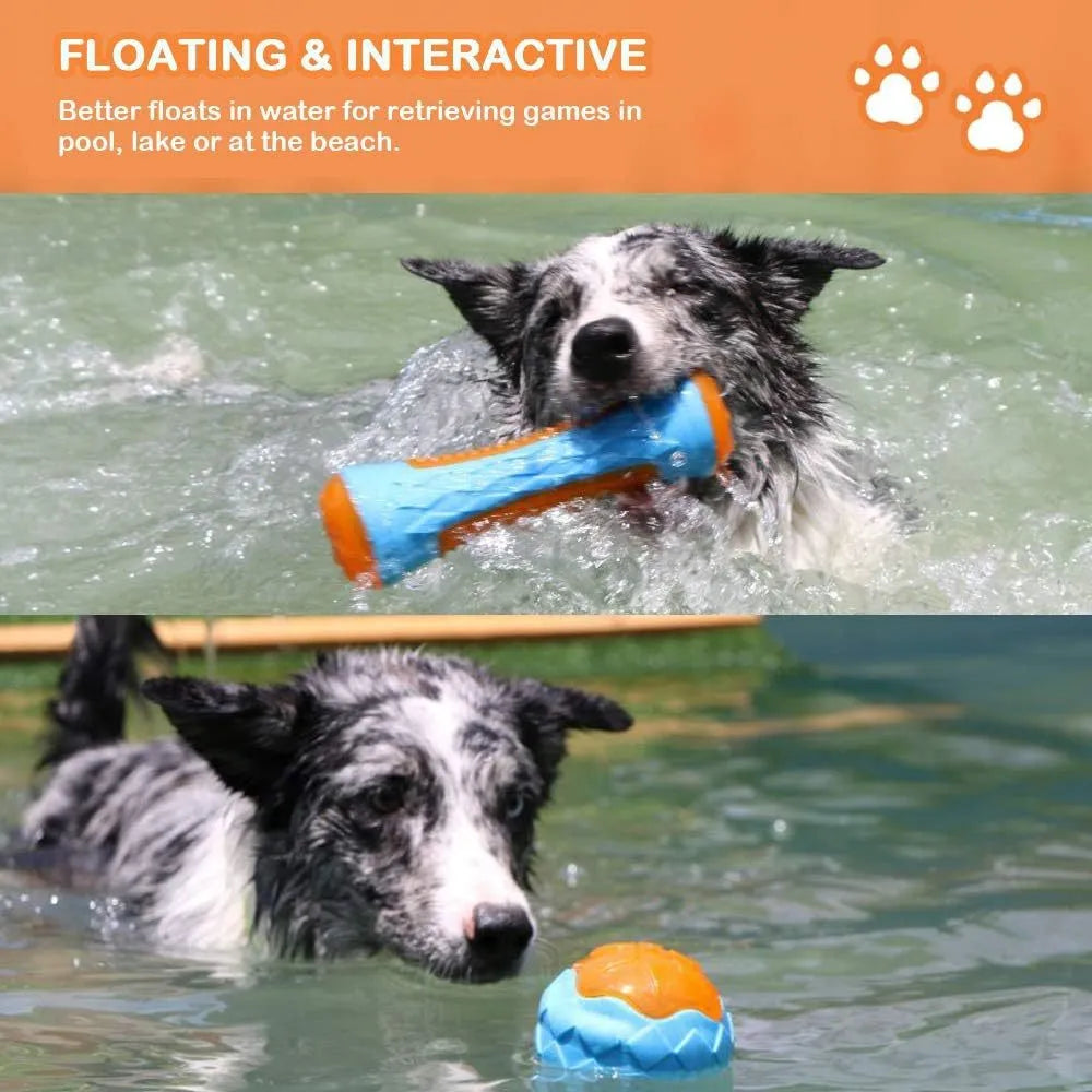 Set of three floating squeaky dog toys: a red ball, a blue barbell, and an orange tyre.