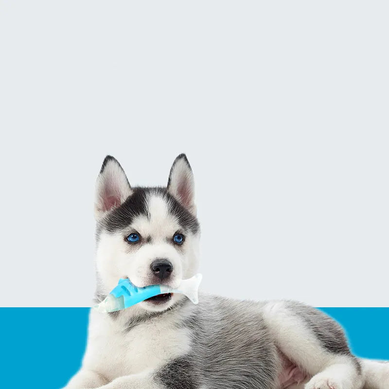 PU nylon dog chewing toy set includes seahorse and tuna shapes for teething puppies