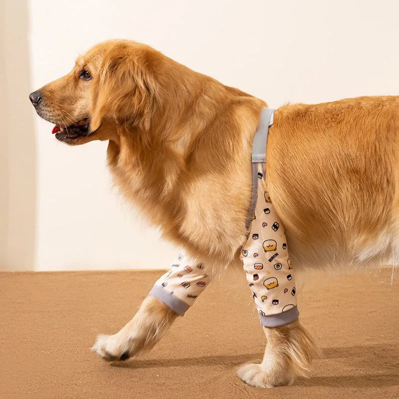 Blue dog knee protector with matching scarf showing adjustable straps and elbow padding