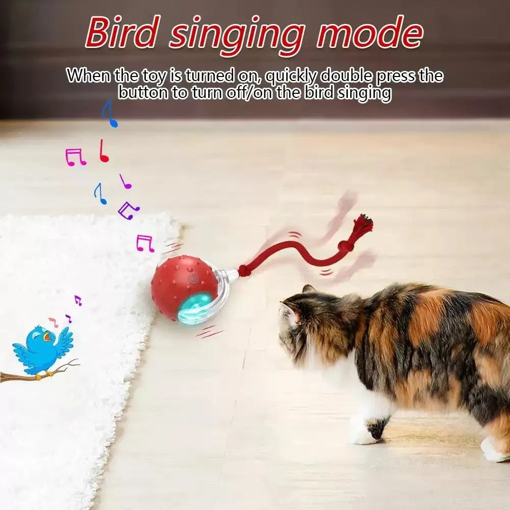 Interactive Super Drive cat rolling ball in blue and red colour options on a light floor