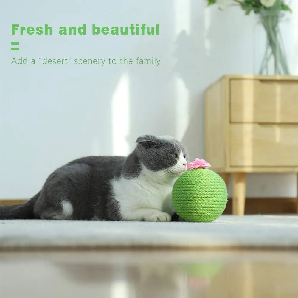 Green interactive tumbler cactus cat scratcher with natural sisal and rolling ball for indoor play