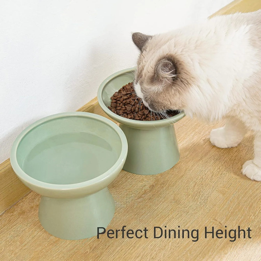 Ceramic elevated cat food bowl with wide shallow design in blue colour