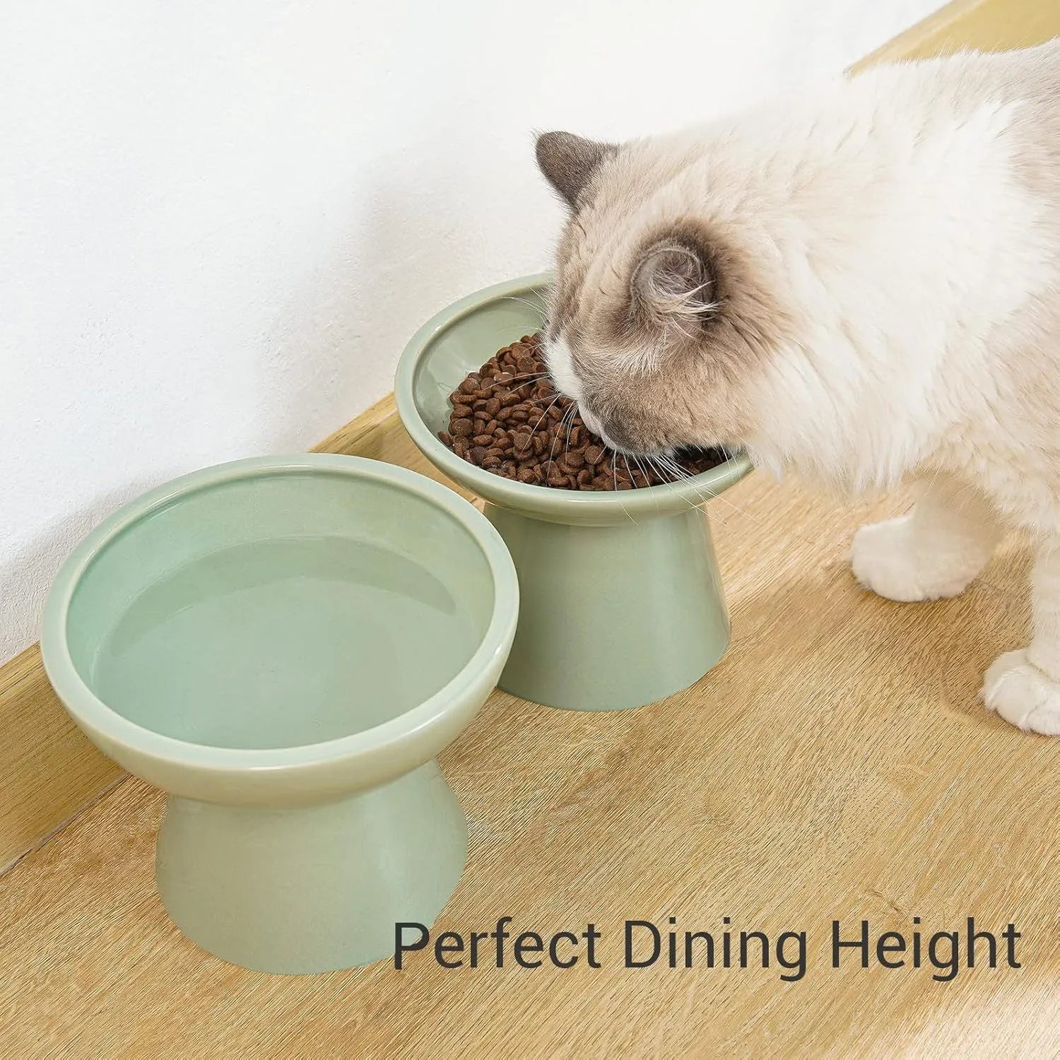 Ceramic elevated cat food bowl with wide shallow design in blue colour