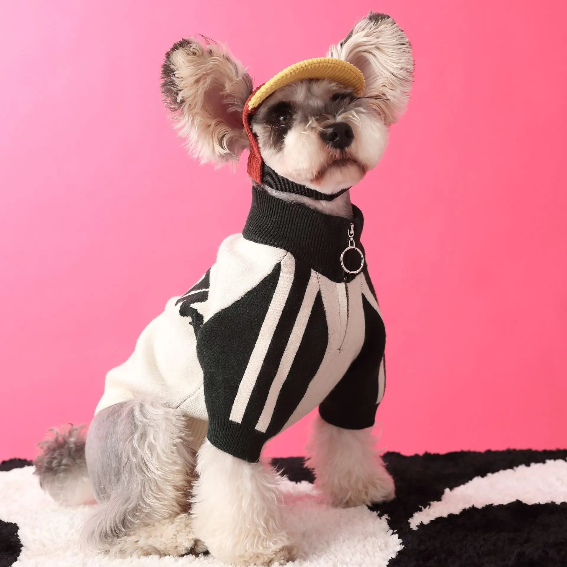Red wool pet dog sweater cardigan in casual style for men's pet clothing
