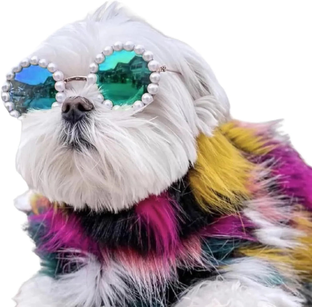 Cat wearing black pearl-rimmed round sunglasses as costume accessory for party