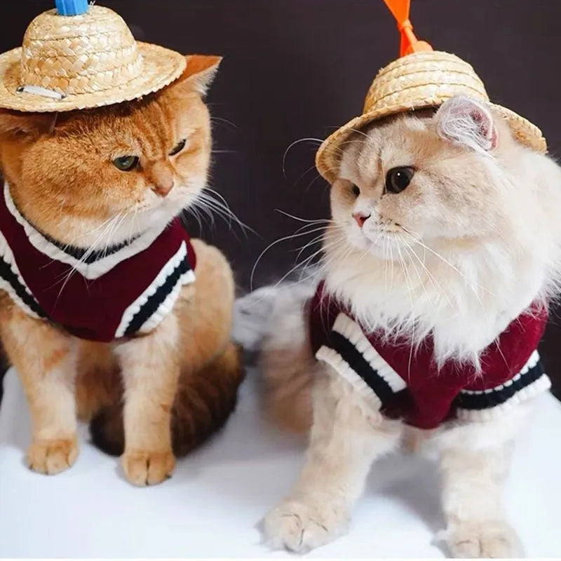 Pet cat winter coat with college-style layer, size M, khaki colour, for British Shorthair breed
