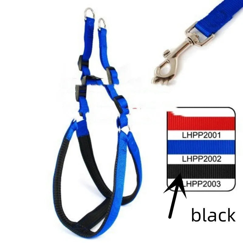 Soft lining polypropylene foam pet harness traction belt in black, blue, and red nylon with chest strap ring