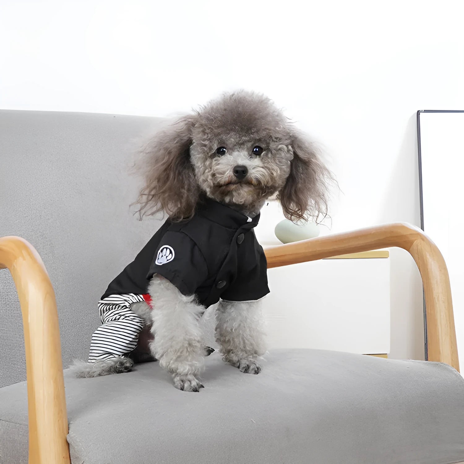 Thin cotton dog clothes for poodles in skirt or four-legged pants styles available in four sizes