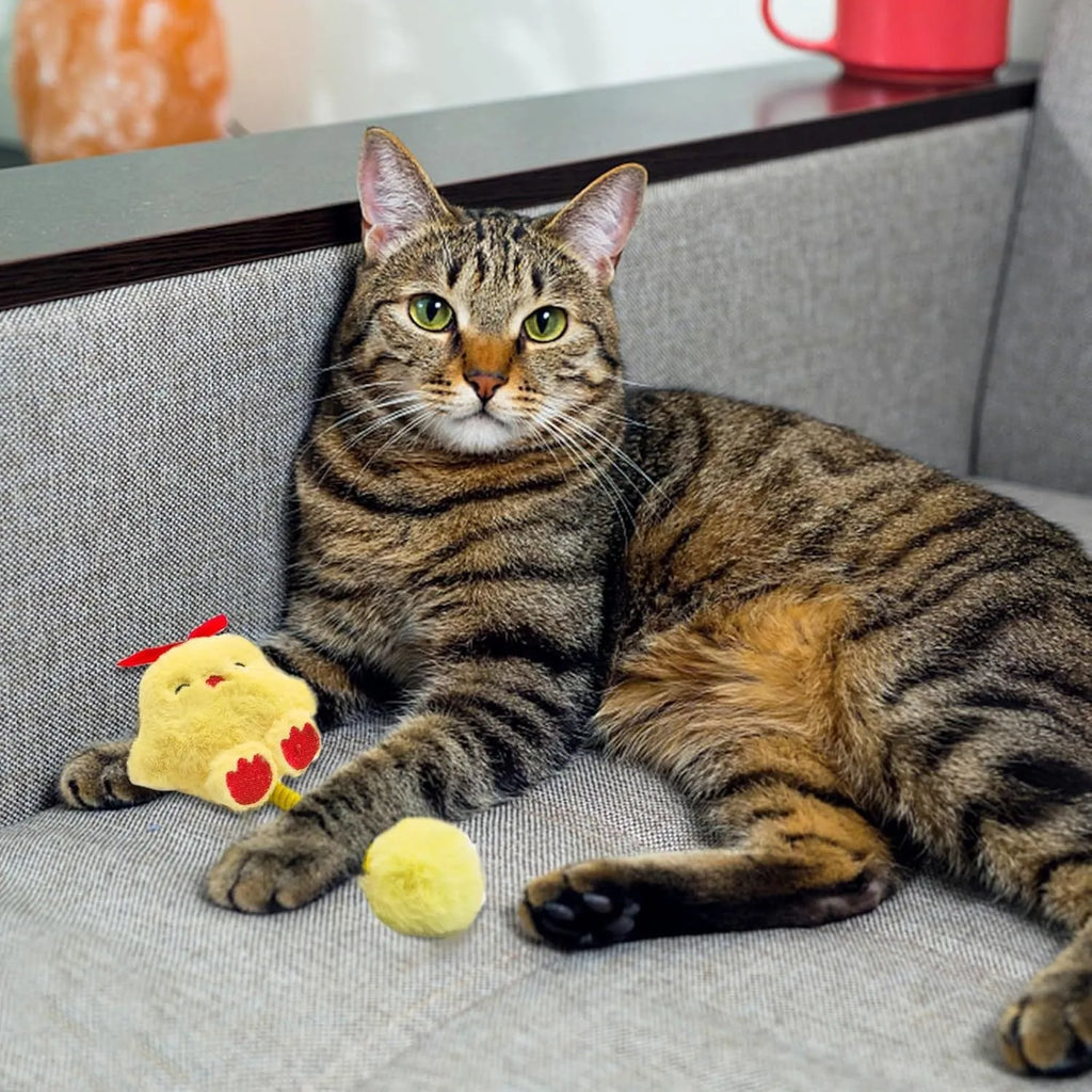 4-in-1 cat toy with plush animal, silvervine fruit, stretchable spring and fuzzy ball on white background