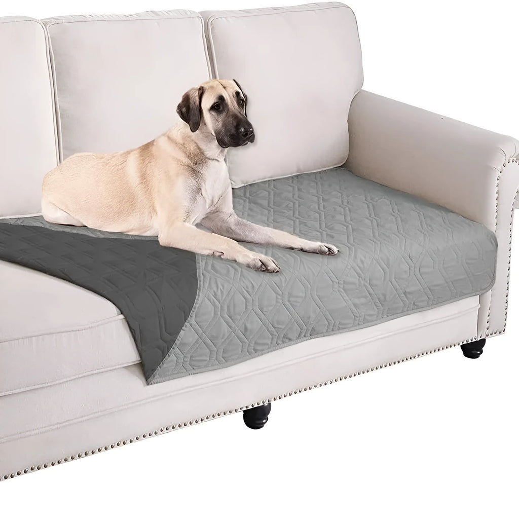 Reversible dog blanket on sofa showing two colour sides, protecting furniture from pets