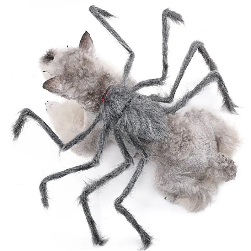 Halloween spider costume for pets in polyester with elastic openings