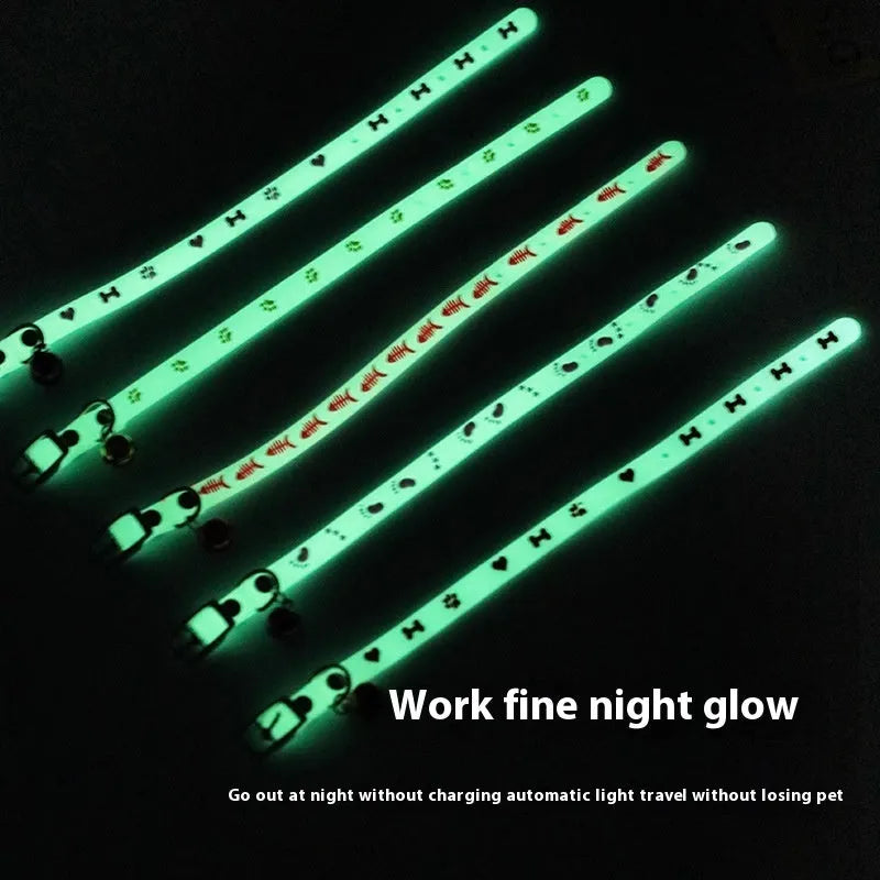 Cat wearing luminous collar with night illumination and metal bell on adjustable silicone chain